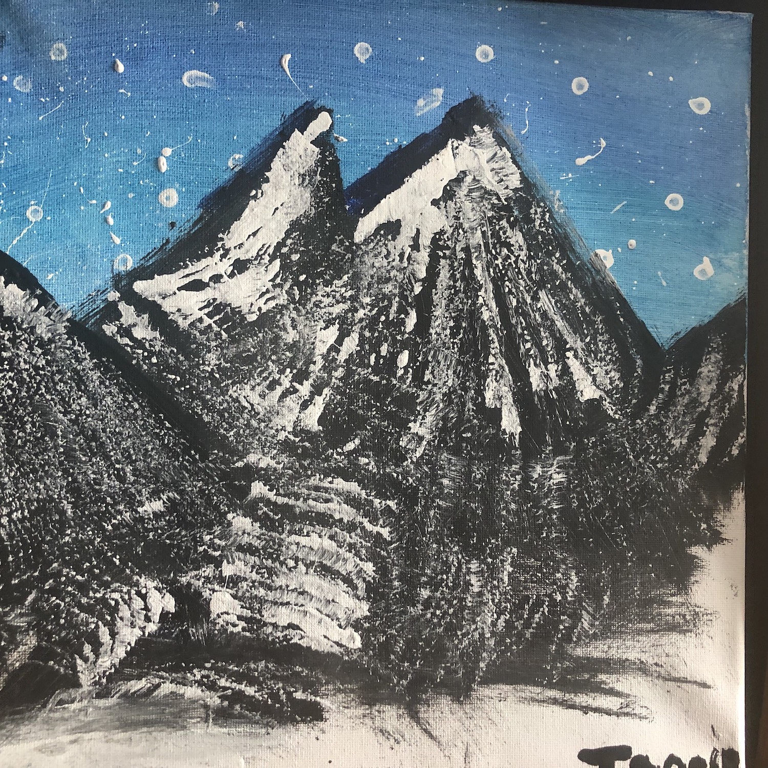 This is Jan-Hendrick's painting using acrylic paints, different sizes of paintbrushes, scrub pads and q-tips. 