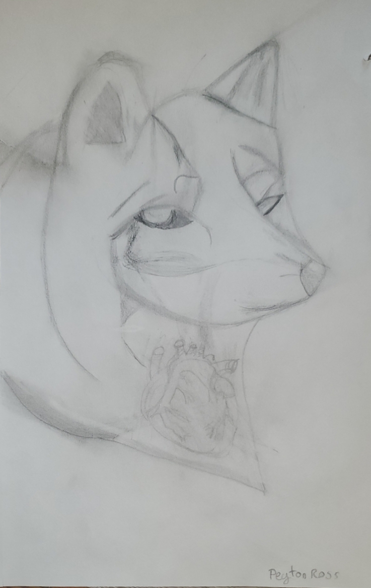 This is one of Peyton's drawings from term 2.