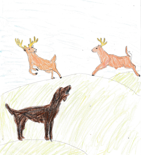 This is Elena's drawing that was inspired by her farm.